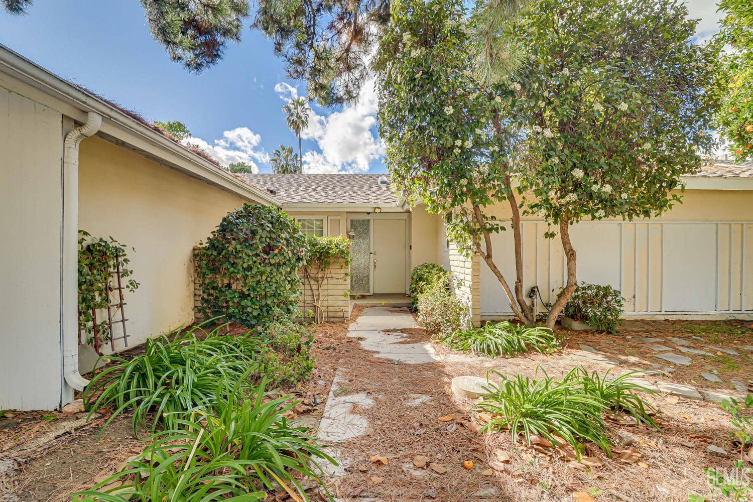 205 Haggin Street — photo 3